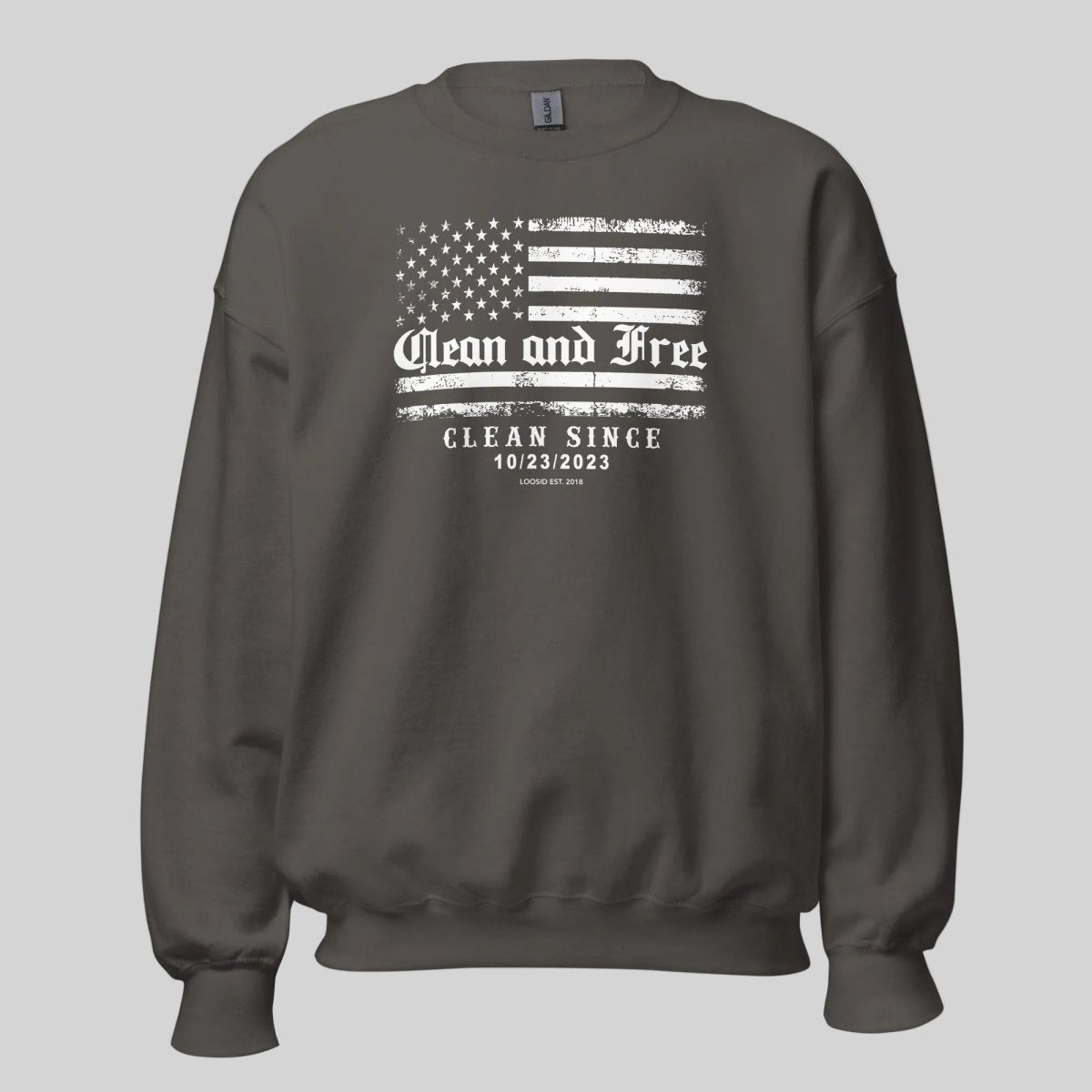 Clean Since Recovery Recovery Hoodie lifestyle view (view 15)