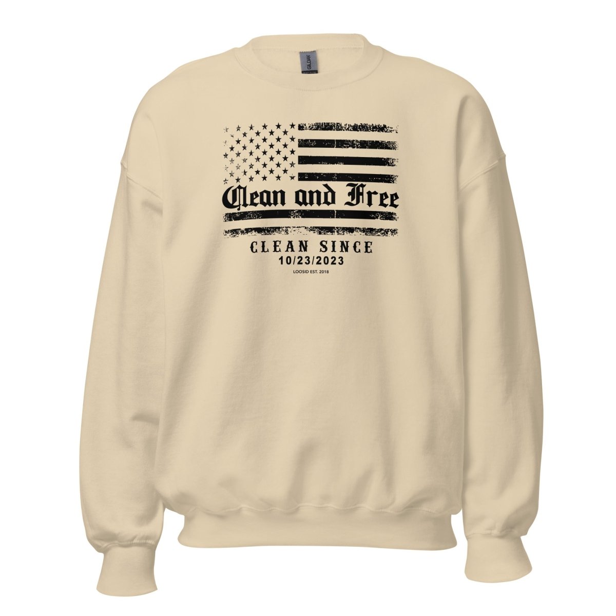 Sobriety Recovery Hoodie product photo (view 20)