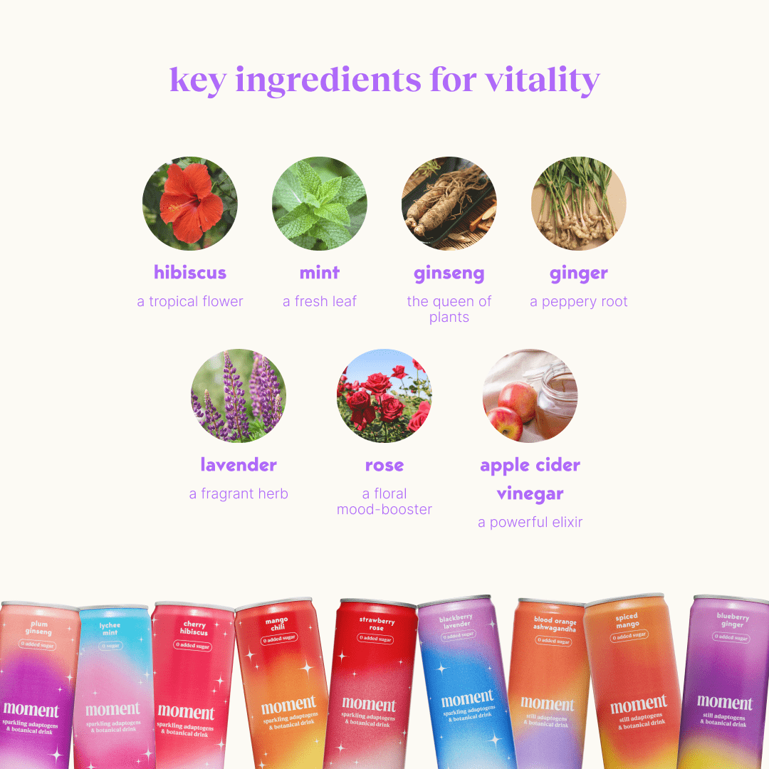 bestsellers (sparkling & still mocktail | 18 pack)