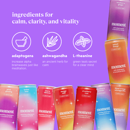 bestsellers (sparkling & still mocktail | 24 pack)
