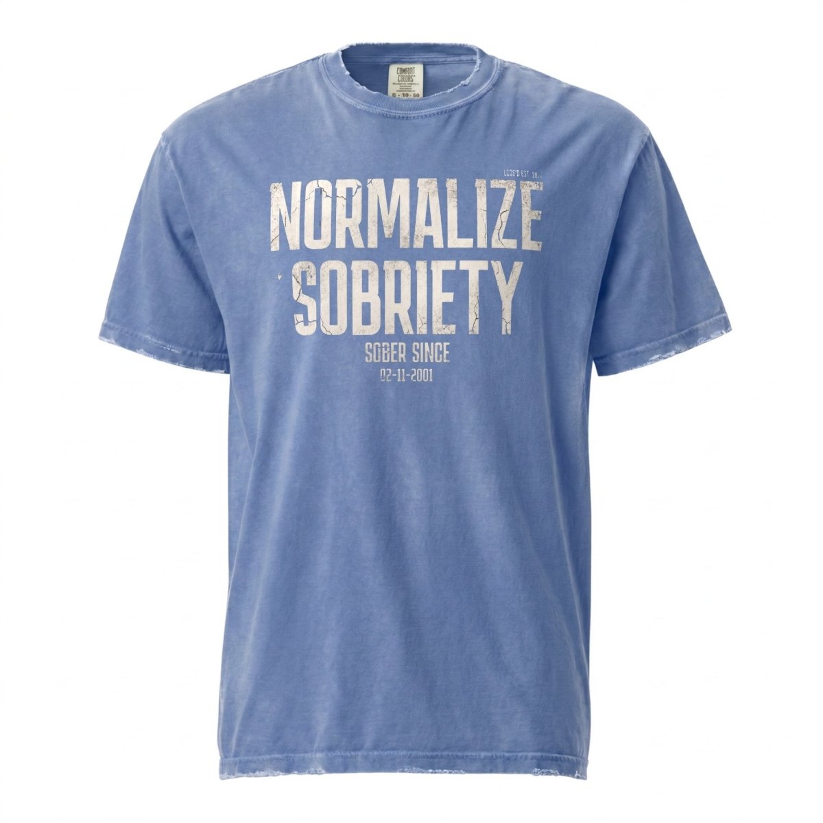 Washed Normalize Sobriety Unisex garment dyed Sober T Shirt back view (view 17)