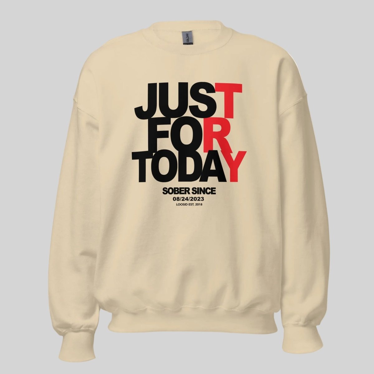 Sobriety Recovery Hoodie product photo (view 30)