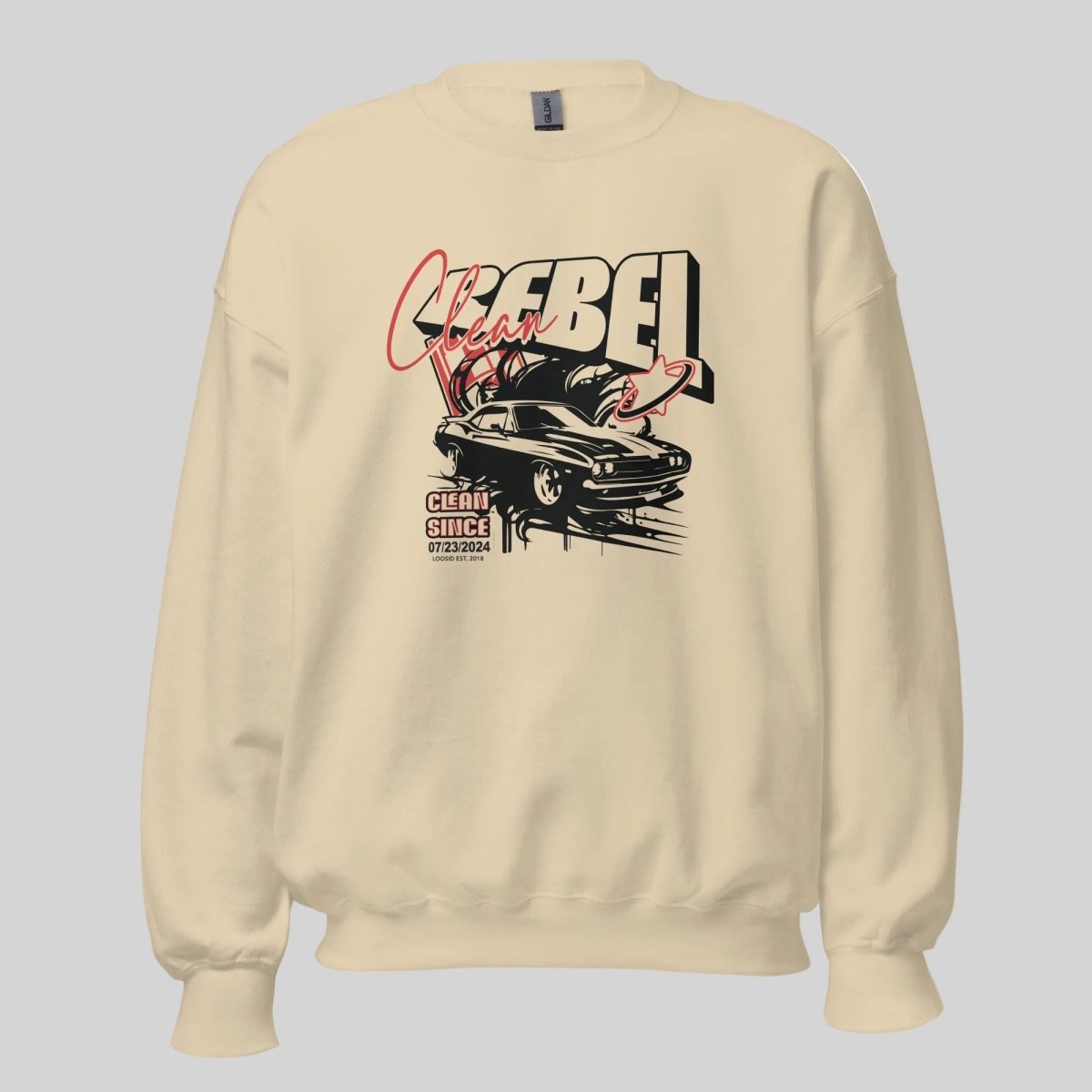 Clean Since Recovery Hoodie lifestyle view (view 15)