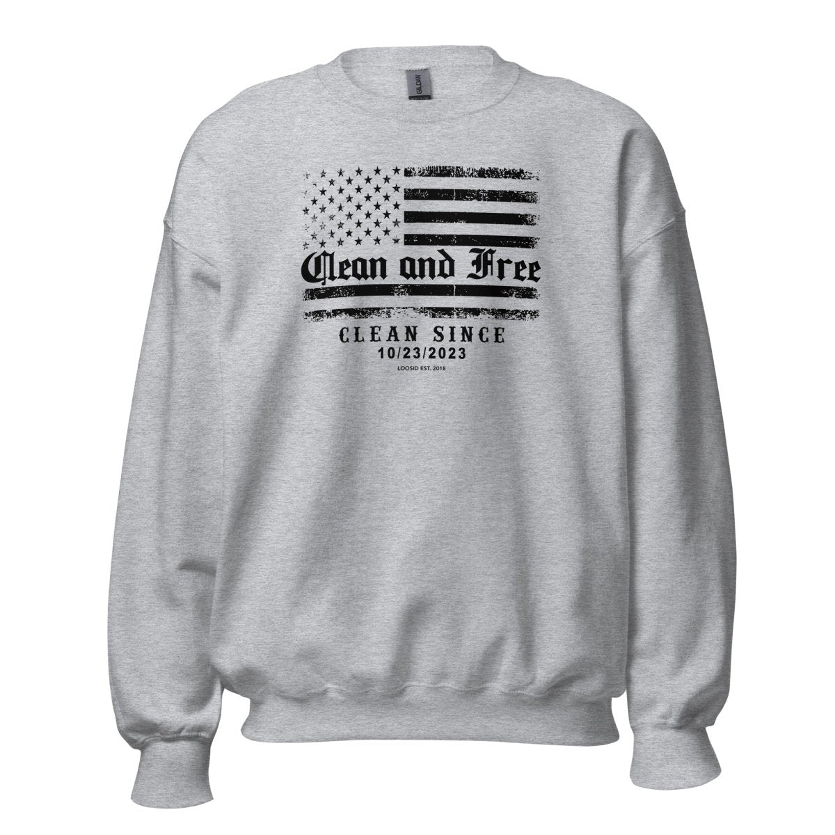 Sobriety Recovery Hoodie back view (view 17)